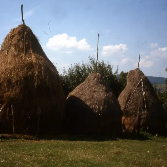Landschaft mit drei Heuhaufen