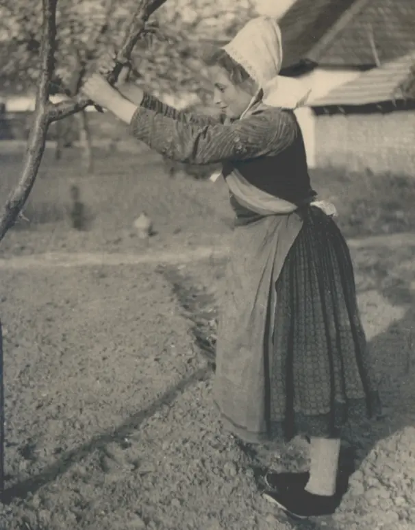 Eine junge Frau in Tracht hält sich am Ast eines Baumes.